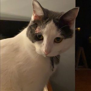 Meet your Posher, Lidia